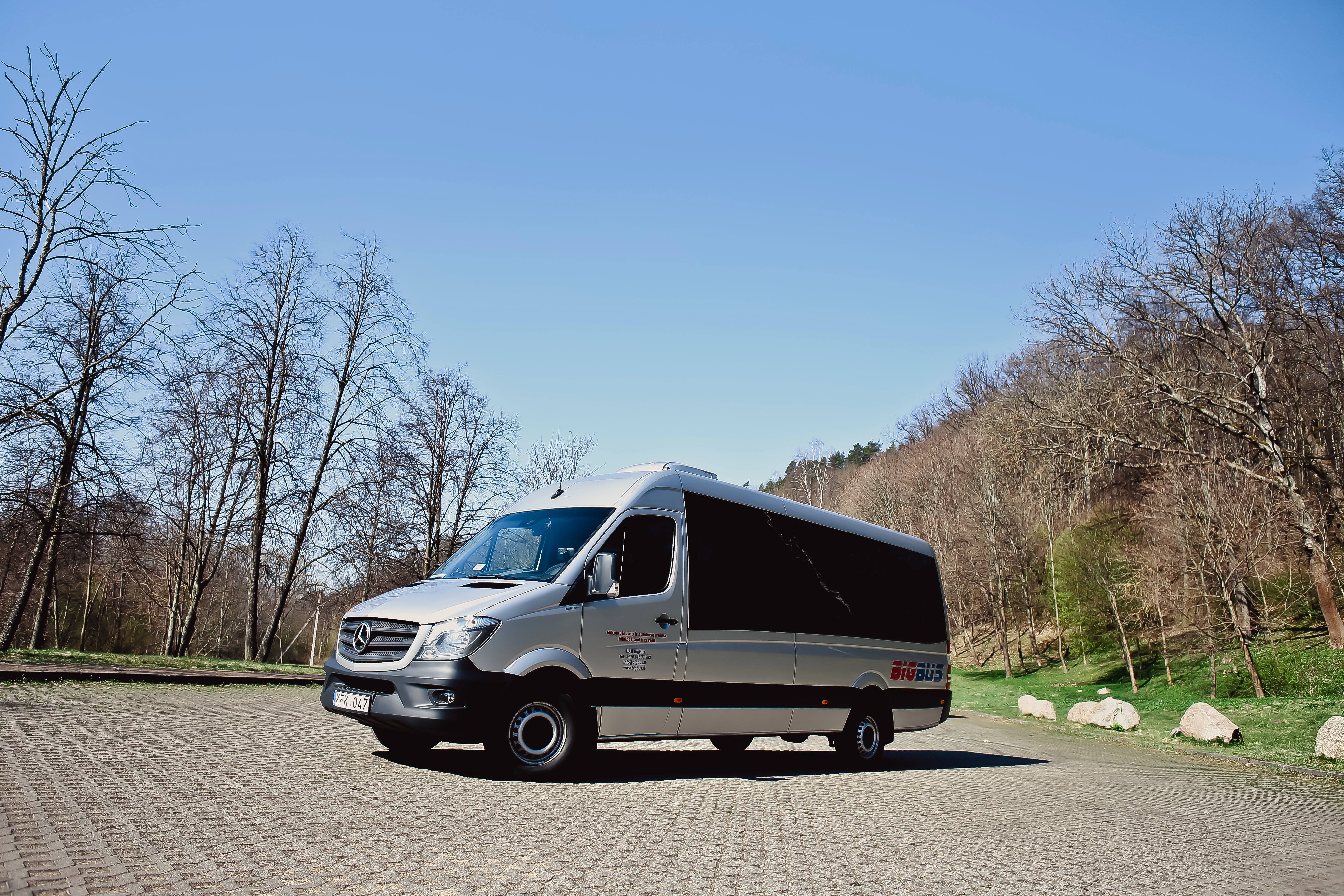 Mercedes-Benz Sprinter 319